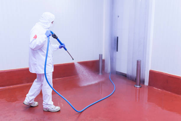 Best Gutter Cleaning  in Gold River, CA